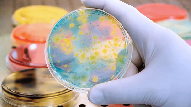 生物科技公司注册代理费用：影响因素及合理预算