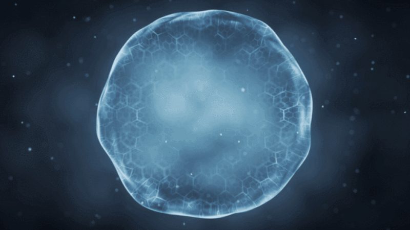 生物科技实验设备操作步骤全解析