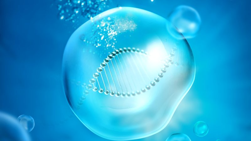 实验室移液器：规格参数背后的科学奥秘**