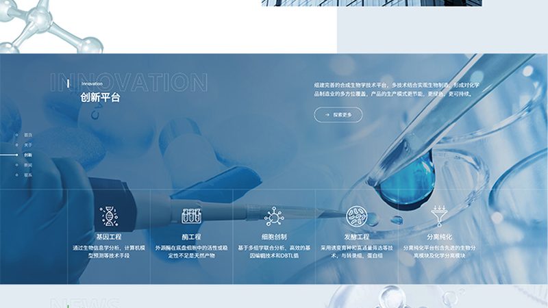 上海生物医药原液生产代工：揭秘其核心优势与关键考量