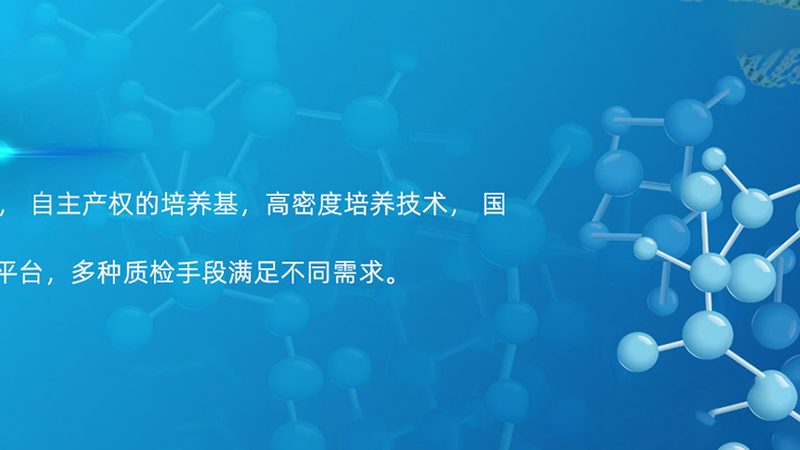 酶含量测定的关键步骤解析**