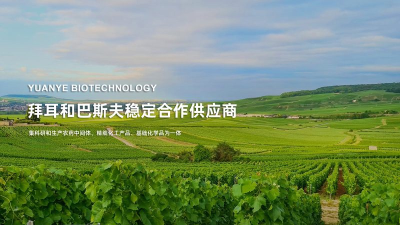 小标题：一、CRO优化概述