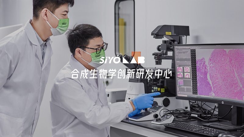 电商CRO报价优化：揭秘合理成本背后的逻辑**