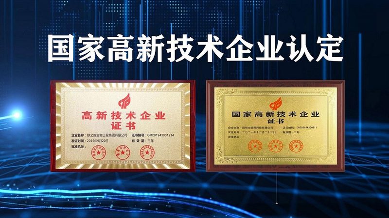 成都CDMO商业模式：揭秘定制研发背后的力量
