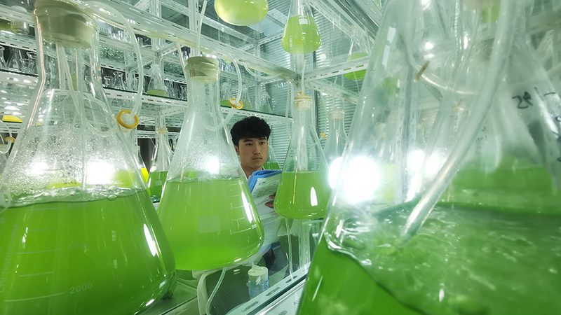 小标题：规格选择的重要性